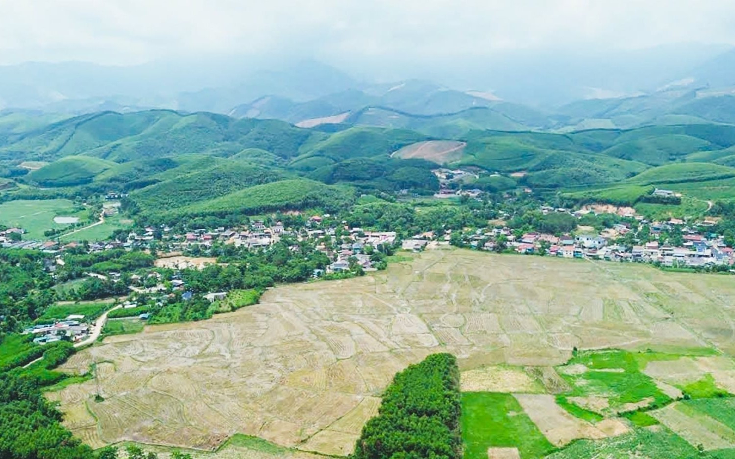 UBND tỉnh trả lời kiến nghị xã Châu Bình về việc chuyển đổi đất rừng khoanh nuôi tại Bù Đô