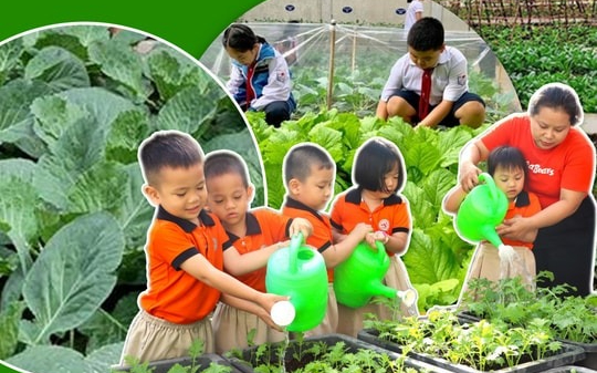 Vườn trường – Lớp học không mái che của tương lai