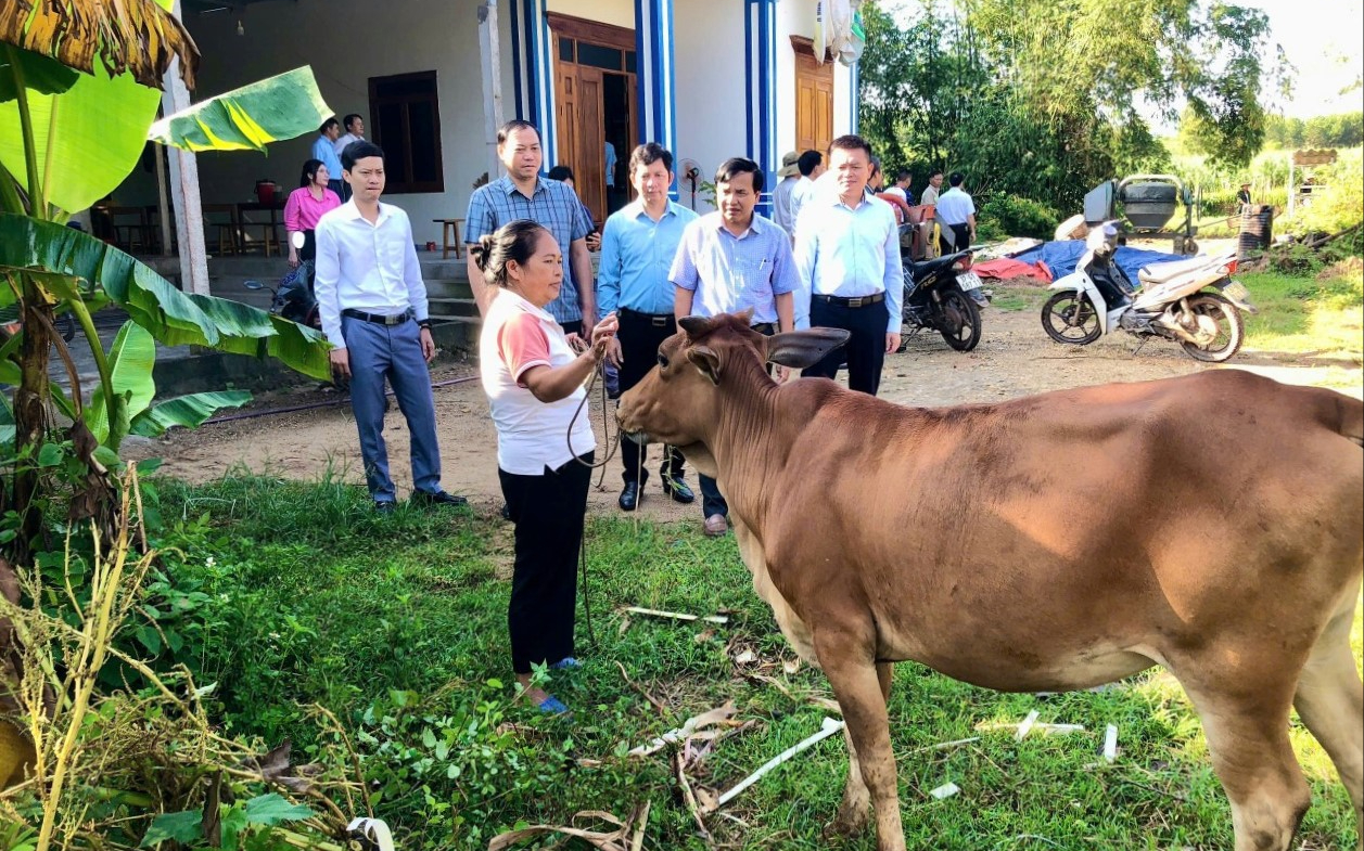 Phân bổ, điều chỉnh phân bổ vốn thực hiện 3 Chương trình mục tiêu quốc gia trên địa bàn tỉnh Nghệ An