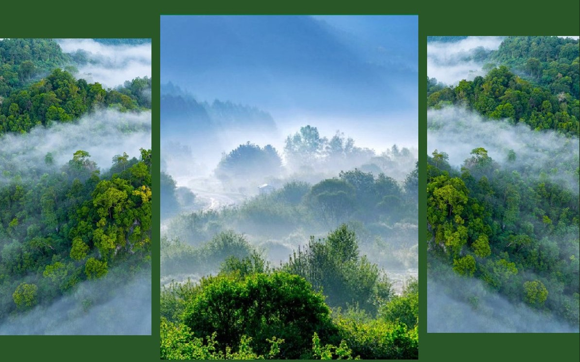 Tư duy hệ thống và sứ mệnh bảo vệ hệ sinh thái