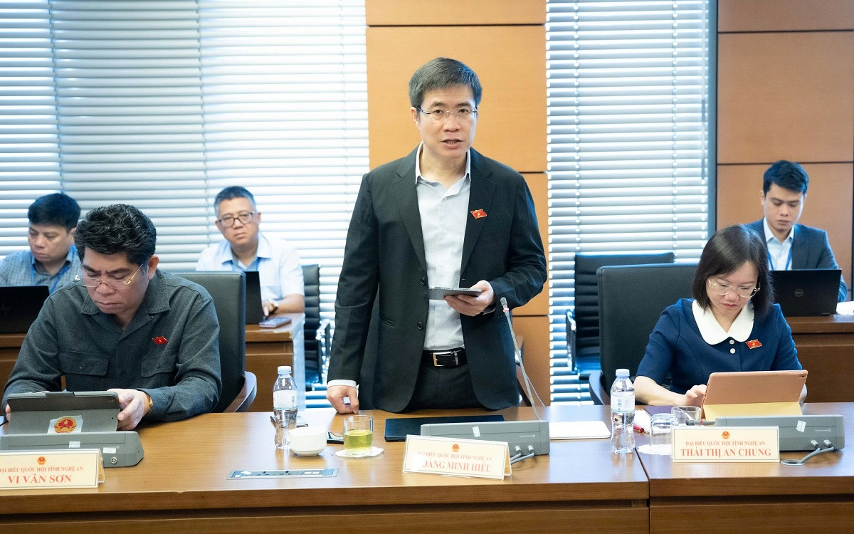 Đồng bộ chính sách quản lý môi trường, khai thác, sử dụng tài nguyên rừng hiệu quả