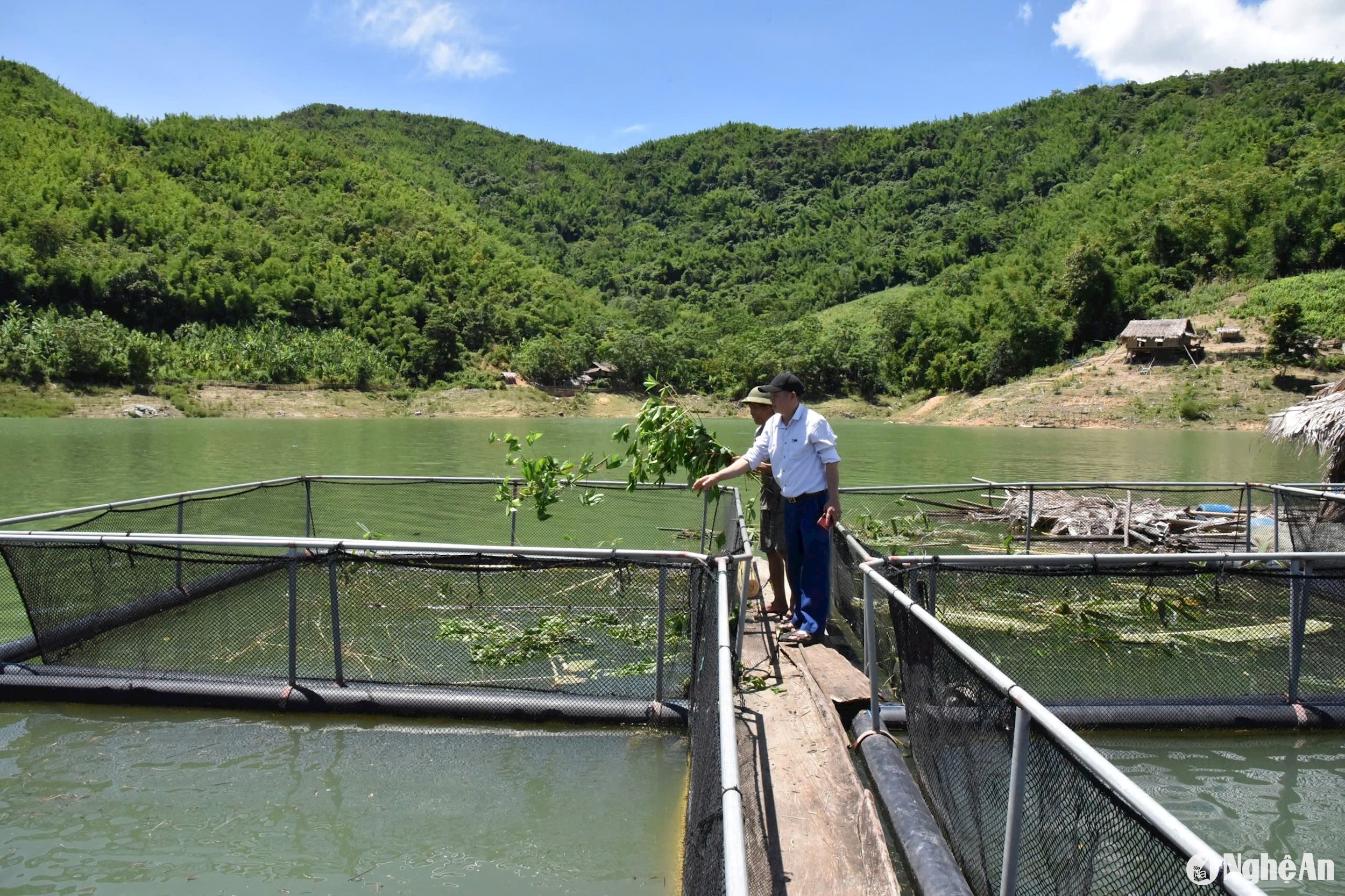 Chính sách phát triển nông nghiệp, nông thôn trên địa bàn tỉnh giai đoạn 2026 - 2030