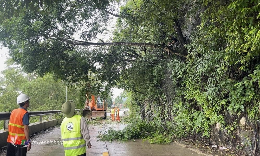 Sở Giao thông vận tải trả lời kiến nghị của cử tri huyện Con Cuông về khắc phục tình trạng sạt lở tại eo Vực Bồng