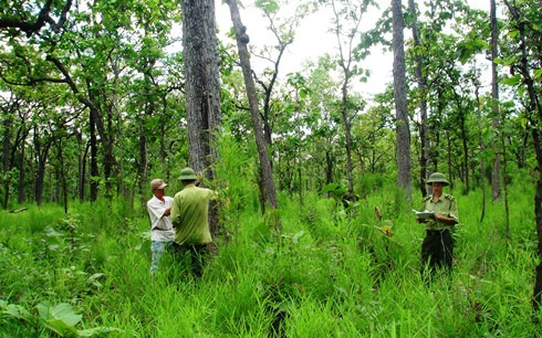 19 kiến nghị của cử tri sau Kỳ họp thứ 8, Quốc hội khóa XV đã được chuyển UBND tỉnh Nghệ An