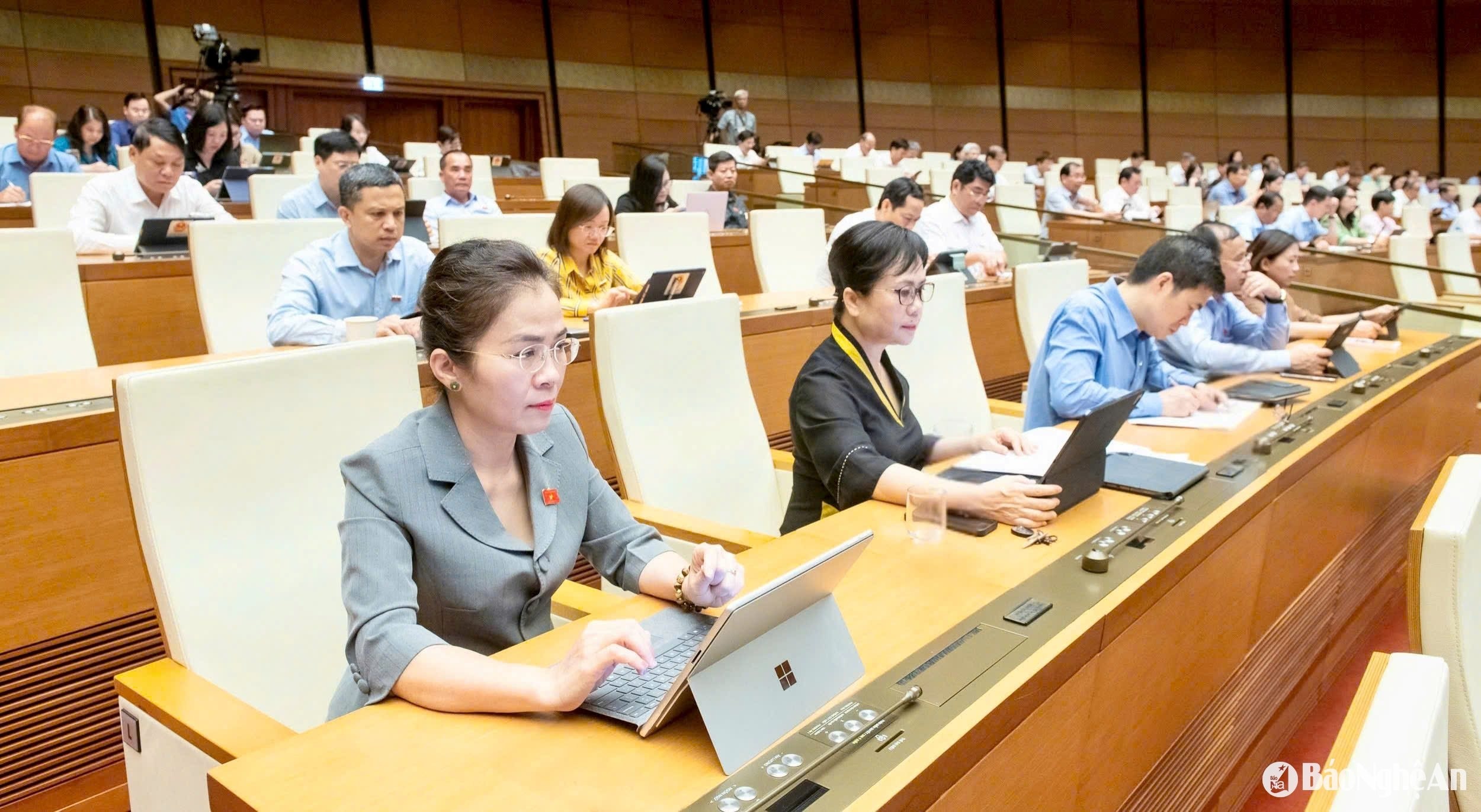 bna_vo-thi-minh_sinh.jpg