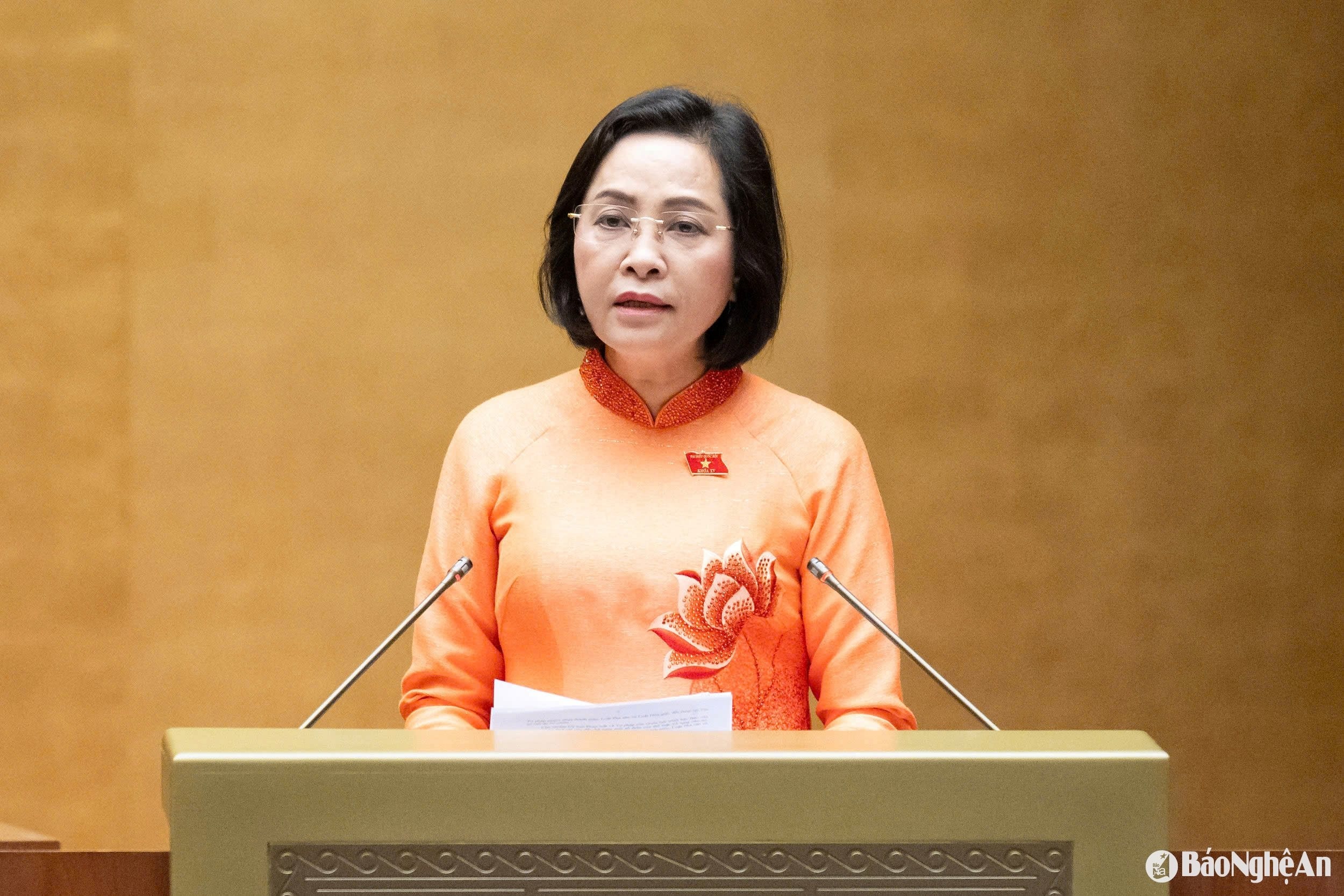 bna_nguyen-thi-thanh.jpg