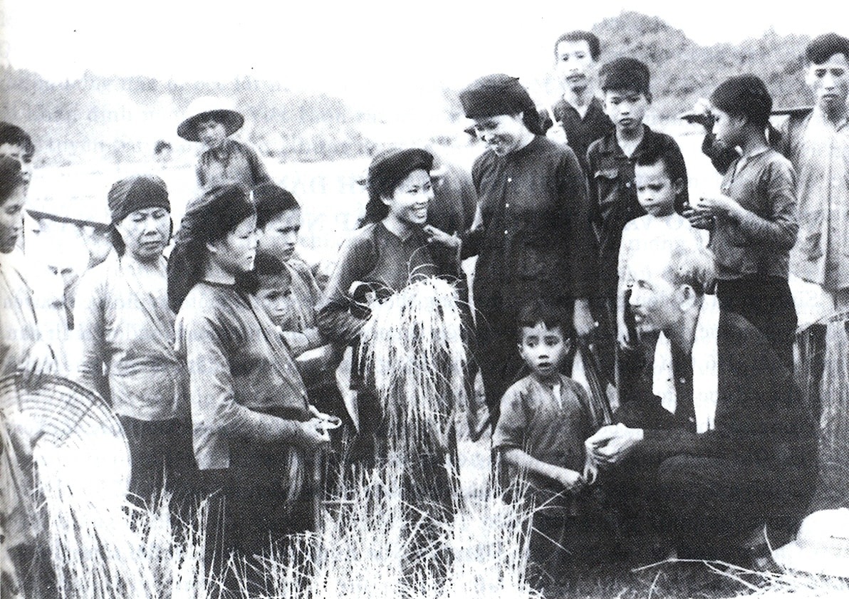 bac-ho-tham-nong-dan-dang-gat-lua-tren-canh-dong-xa-hung-son-huyen-dai-tu-thai-nguyen-vao-nam-1954..jpg