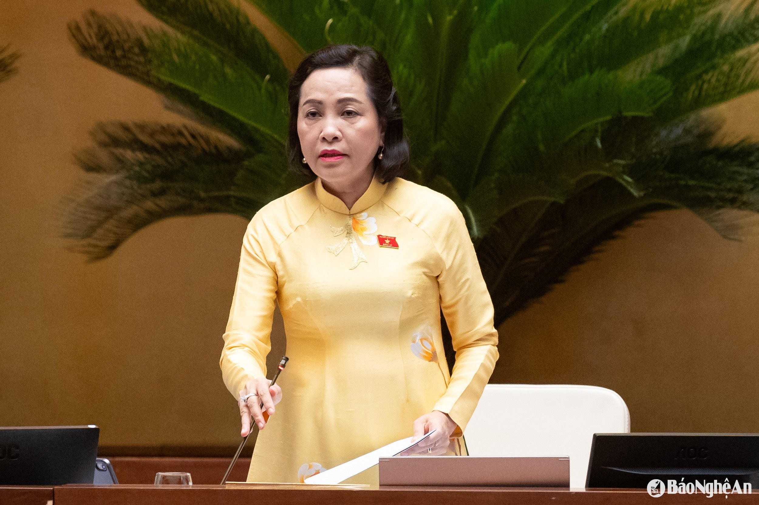 bna_nguyen-thi-thanh.jpg