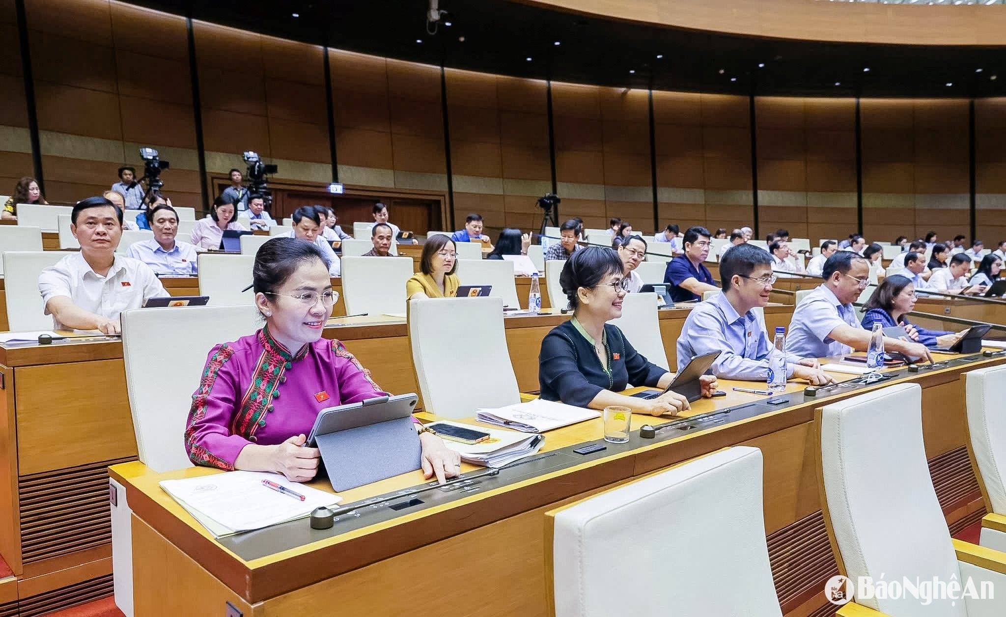 bna_vo-thi-minh-sinh.jpg