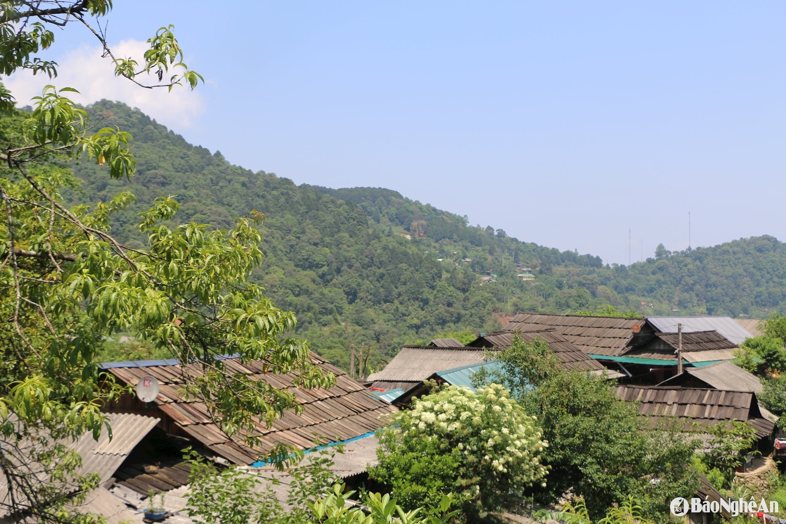 bna_thap-thoang-nhung-mai-nha-samu-o-tay-son.-anh-k.l.jpg
