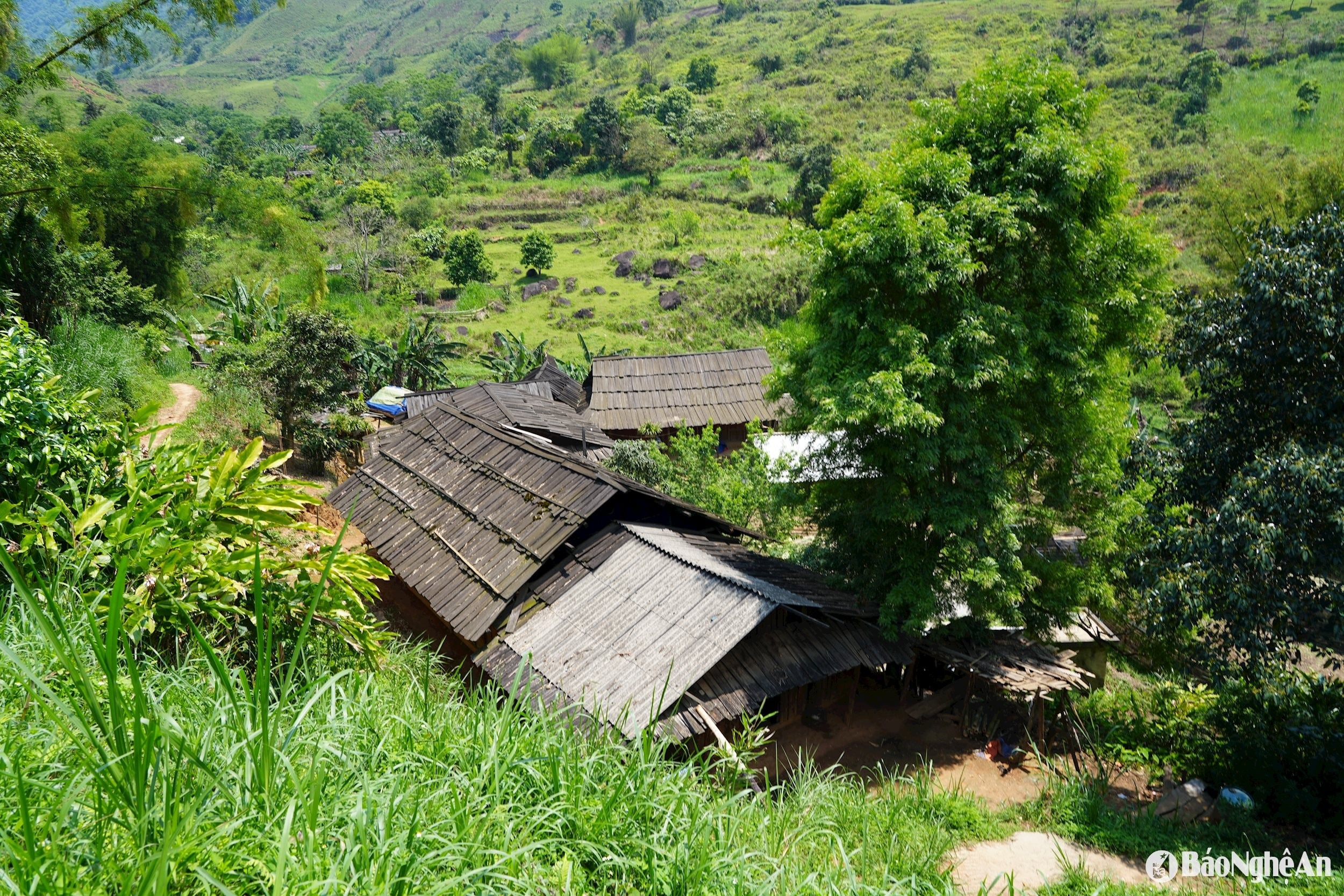 bna_tinh-den-nay-toan-huyen-ky-son-co-gan-100-ngoi-nha-lop-mai-samu.-anh-t.p.jpg