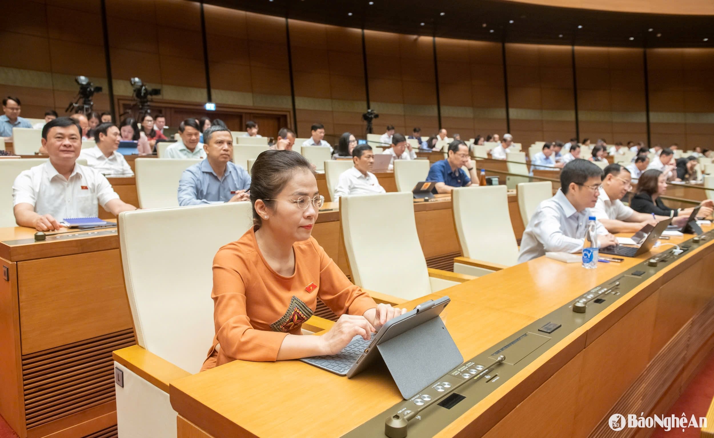 bna_vo-thi-minh-sinh.jpg