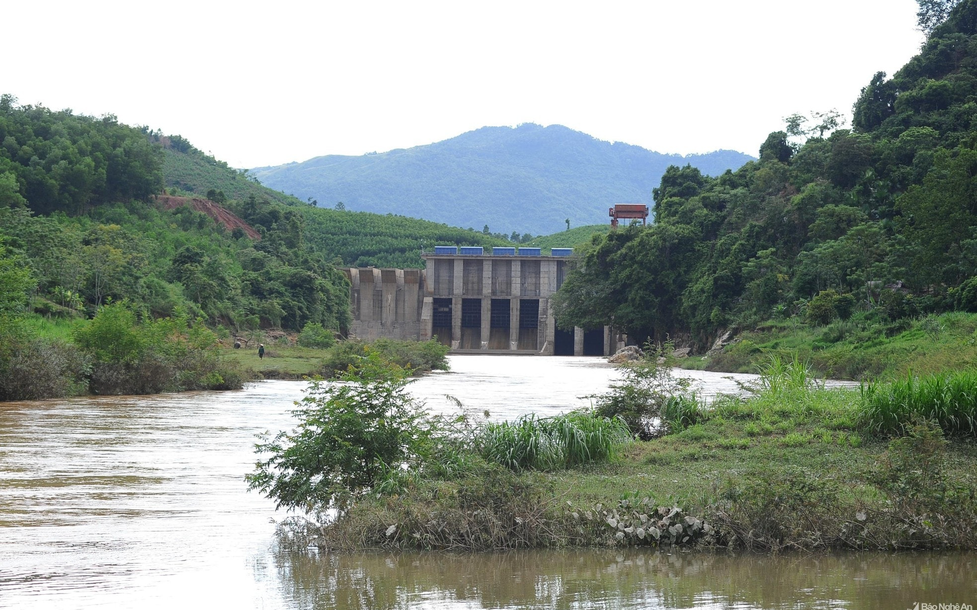 UBND tỉnh trả lời kiến nghị của cử tri huyện Quỳ Châu về hỗ trợ thiệt hại lúa nước do thủy điện Châu Thắng xả lũ