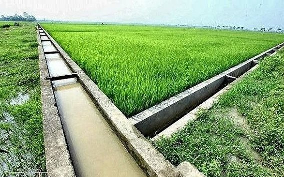 UBND tỉnh trả lời kiến nghị của cử tri huyện Hưng Nguyên về mức giá sản phẩm, dịch vụ công ích thủy lợi