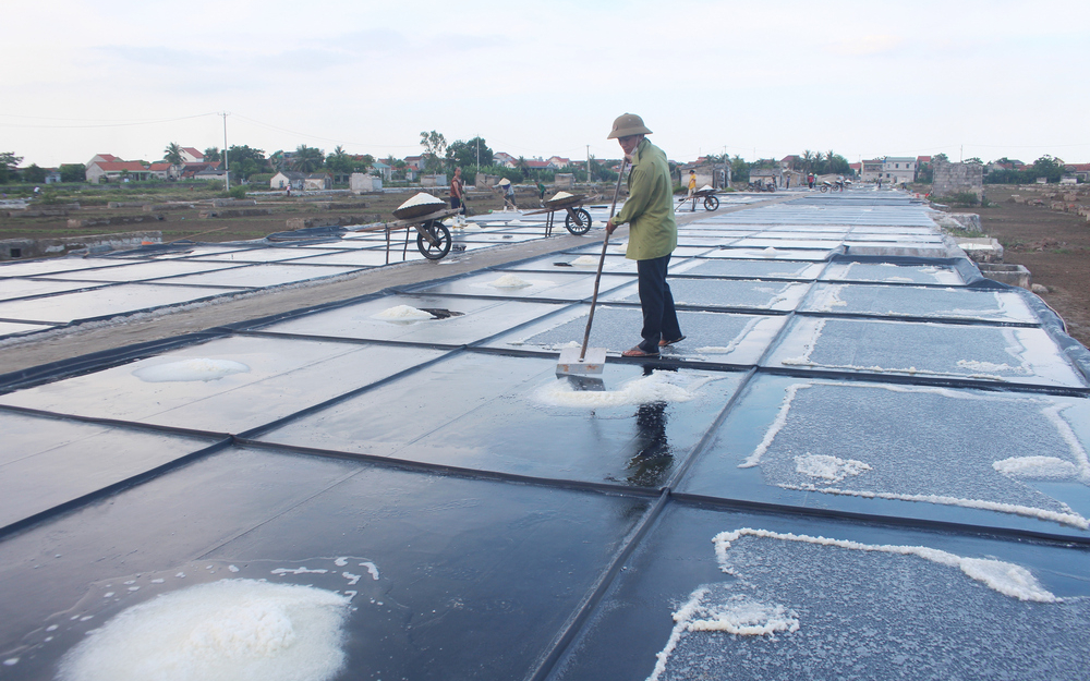 Trả lời kiến nghị cử tri huyện Quỳnh Lưu về khó khăn trong sản xuất muối và giải pháp hỗ trợ phát triển nghề muối