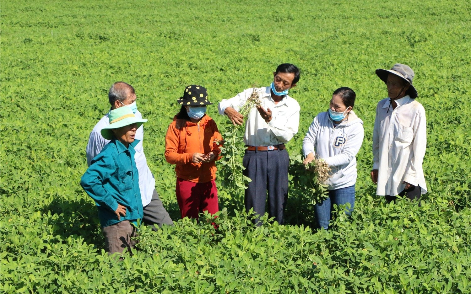 Cử tri đề nghị nâng mức hỗ trợ chuyển đổi nghề, tạo việc làm bền vững cho các hộ dân bị thu hồi đất nông nghiệp