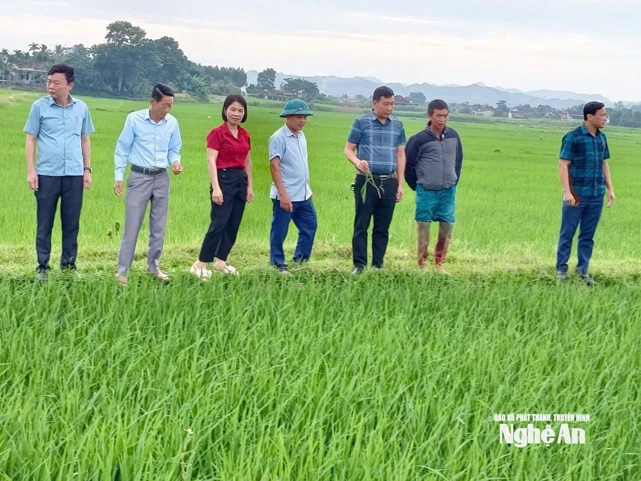 bna_khanh-ly.jpg