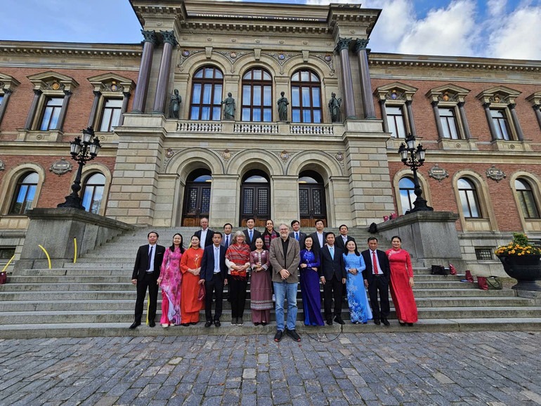 p4.jpg