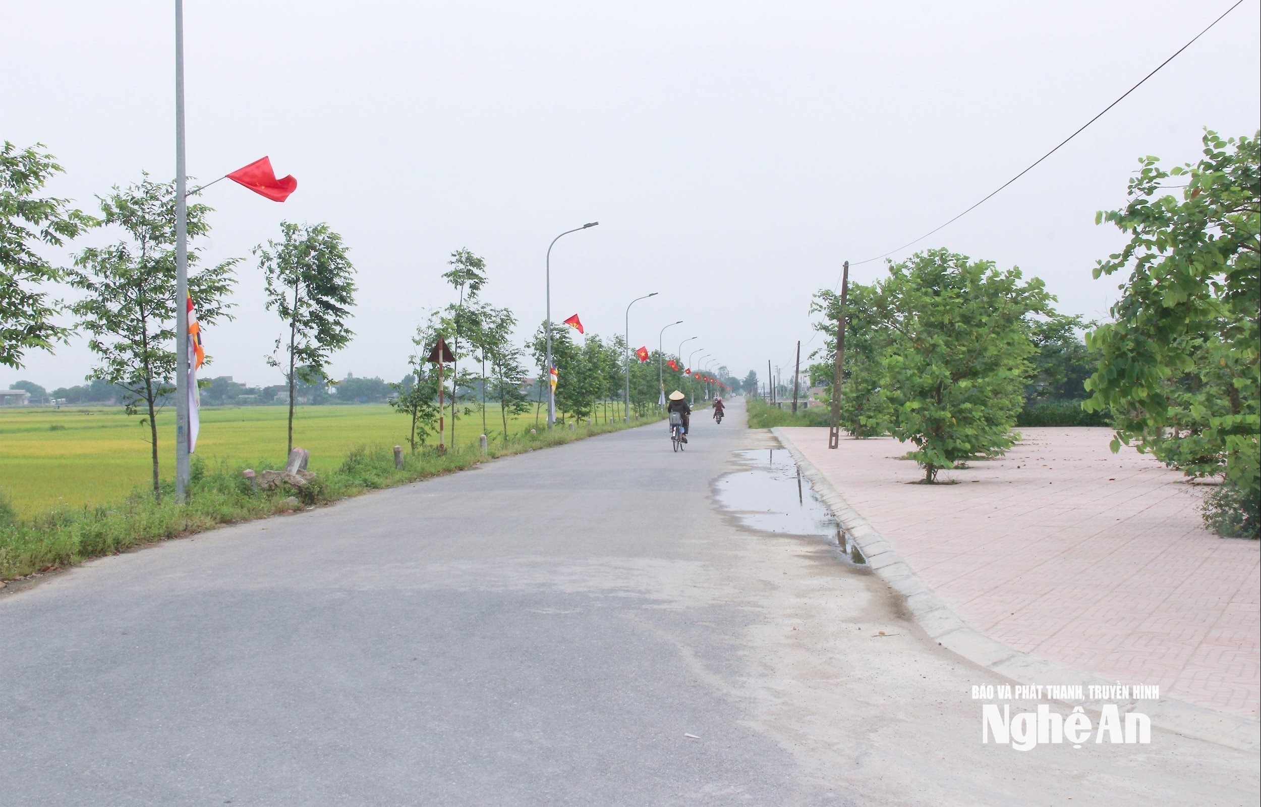 bna_-ha-tang-giao-thong-o-xa-hung-nguyen-nam-duoc-dau-tu-dong-bo.-anh-mai-hoa.jpg