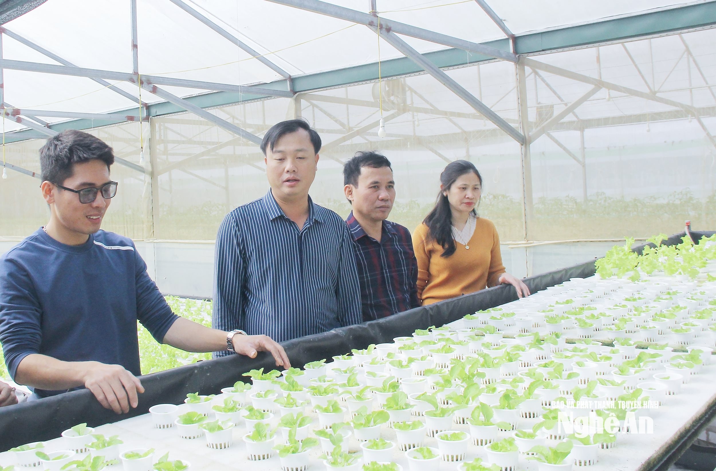bna_-lanh-dao-huyen-hung-nguyen-tim-hieu-hieu-qua-san-xuat-mo-hinh-nong-nghiep-cong-nghe-cao-tai-xa-hung-linh.-anh-mai-hoa(1).jpg