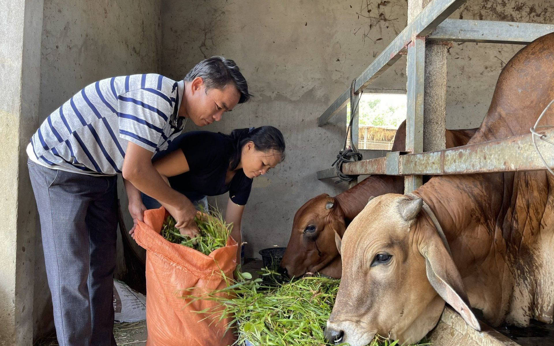 Giải pháp thực hiên công tác giảm nghèo giai đoạn 2026 - 2030