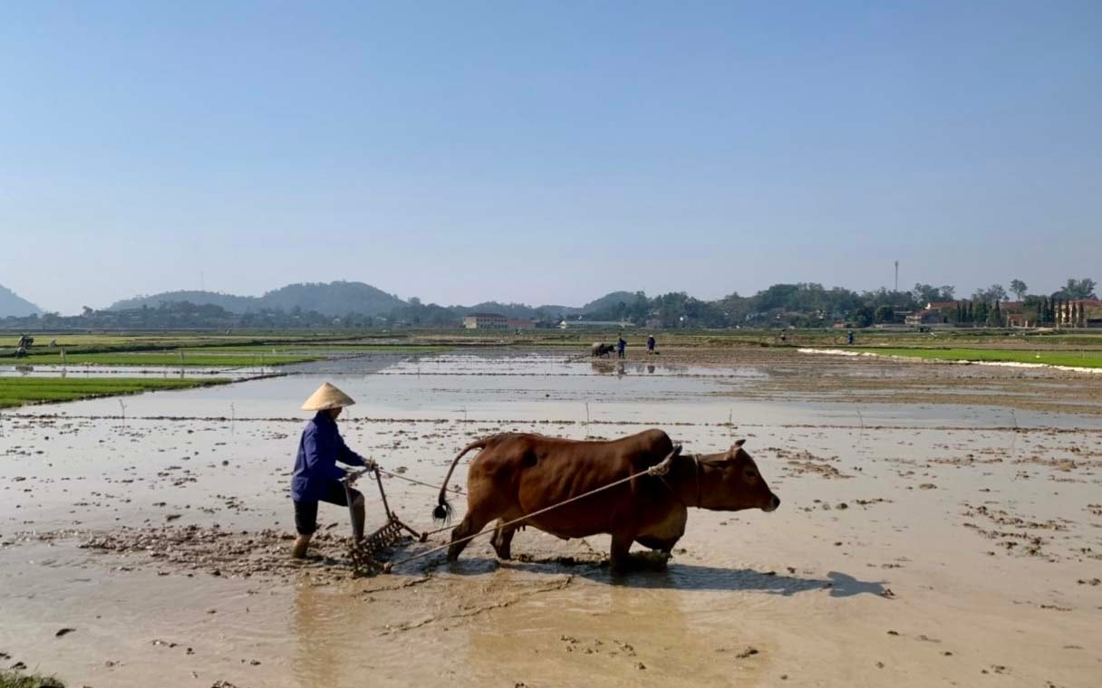 Trả lời kiến nghị cử tri xã Xuân Lâm về tu sửa trạm bơm và hệ thống kênh mương tưới tiêu, phục vụ sản xuất