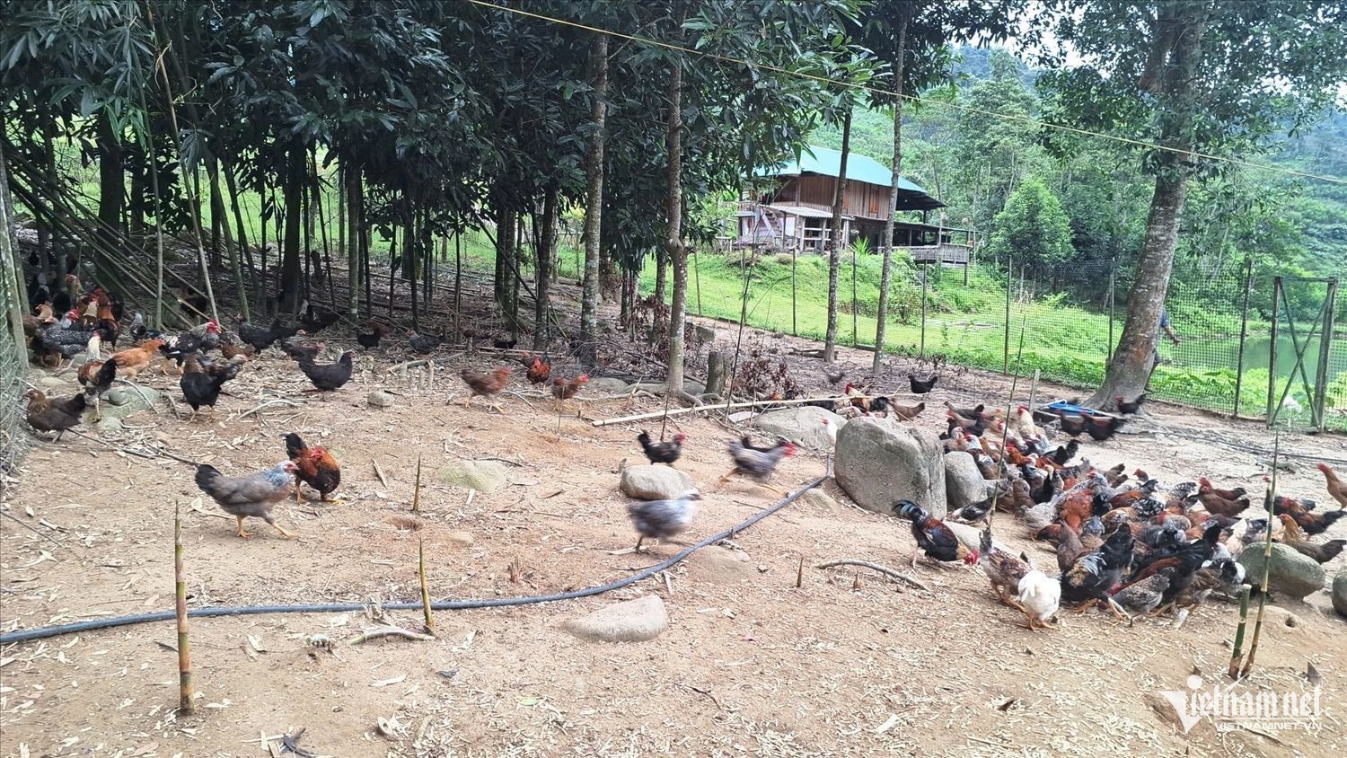 w-anh-23-1401.jpg?width=0&s=f51jM1miXp2GH4lg-z1zEw