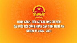 Danh sách, tiểu sử các ứng cử viên Đại biểu Hội đồng Nhân dân tỉnh Nghệ An nhiệm kỳ 2026 - 2031