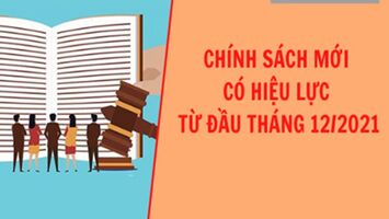 Những chính sách pháp luật có hiệu lực từ tháng 12/2021