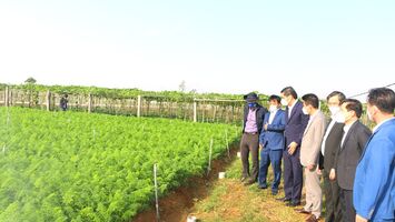 Trình thẩm định công nhận TX Hoàng Mai hoàn thành nhiệm vụ xây dựng nông thôn mới