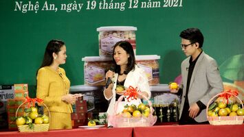 Nghệ An tổ chức livestream quảng bá, tiêu thụ cam Vinh và các đặc sản xứ Nghệ
