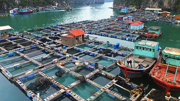 Cắt giảm, đơn giản hóa nhiều thủ tục hành chính lĩnh vực nông nghiệp