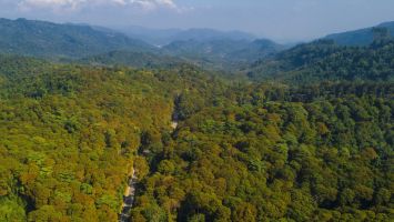 Miền Tây Nghệ An làm giàu trên cái gì ?