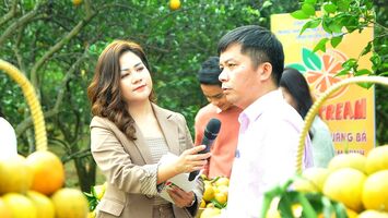 Đưa cam Vinh lên các sàn thương mại điện tử