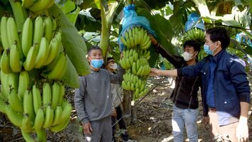 Triển vọng từ sản phẩm OCOP mới ở huyện Tân Kỳ