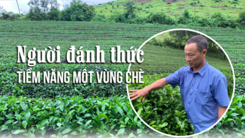 Người đánh thức tiềm năng một vùng chè