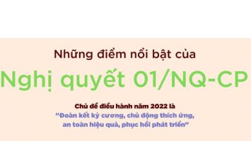 Chính phủ quyết tâm thực hiện thành công kế hoạch năm 2022