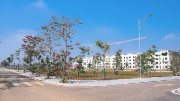 Đất nền Nghệ An “sôi động” dịp đầu năm