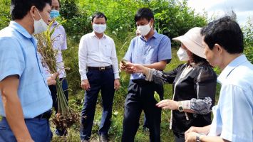 Đổi mới hoạt động giám sát lĩnh vực dân tộc vùng miền Tây Nghệ An