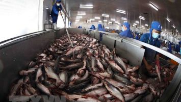 Hỗ trợ kinh phí 102 tỷ đồng để phát triển thủy sản tại 12 tỉnh