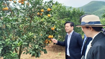 Tập trung, quyết liệt, đổi mới, sáng tạo trong chỉ đạo, đảm bảo hoàn thành chỉ tiêu xây dựng nông thôn mới theo lộ trình