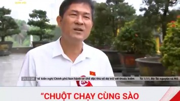 Làm thế nào để xóa quan niệm: "chuột chạy cùng sào mới vào sư phạm"
