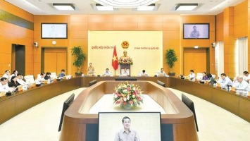 Rà soát, hoàn thiện chính sách hỗ trợ phát triển hợp tác xã