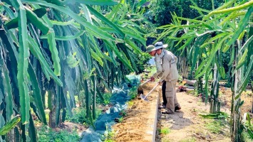 “Đòn bẩy” hình thành các vùng sản xuất tập trung