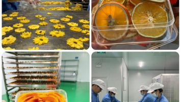 Khởi nghiệp từ chương trình OCOP