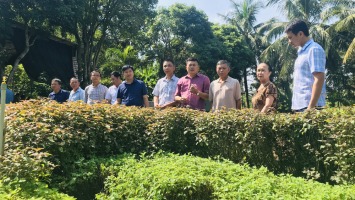 Thị xã Thái Hòa xây dựng vườn chuẩn, nâng cao các tiêu chí NTM