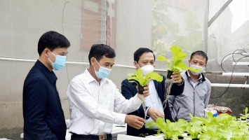 Chú trọng chuyển đổi tư duy sản xuất cho nông dân Nghệ An