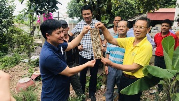 Khai thác lợi thế, phát triển nghề nuôi ong lấy mật vùng miền Tây Nghệ An