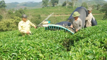 Thanh Chương: phong phú các sản phẩm OCOP.