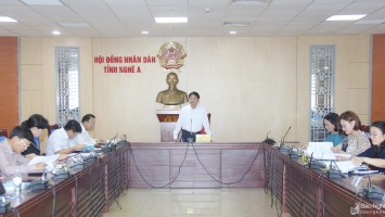 HĐND tỉnh thẩm tra dự thảo nghị quyết về chủ trương đầu tư dự án Khu lưu niệm Phan Bội Châu